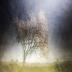 images/Galleri_Landscape/Erik_Malm_Landscape_ICM_Photography_2.jpg