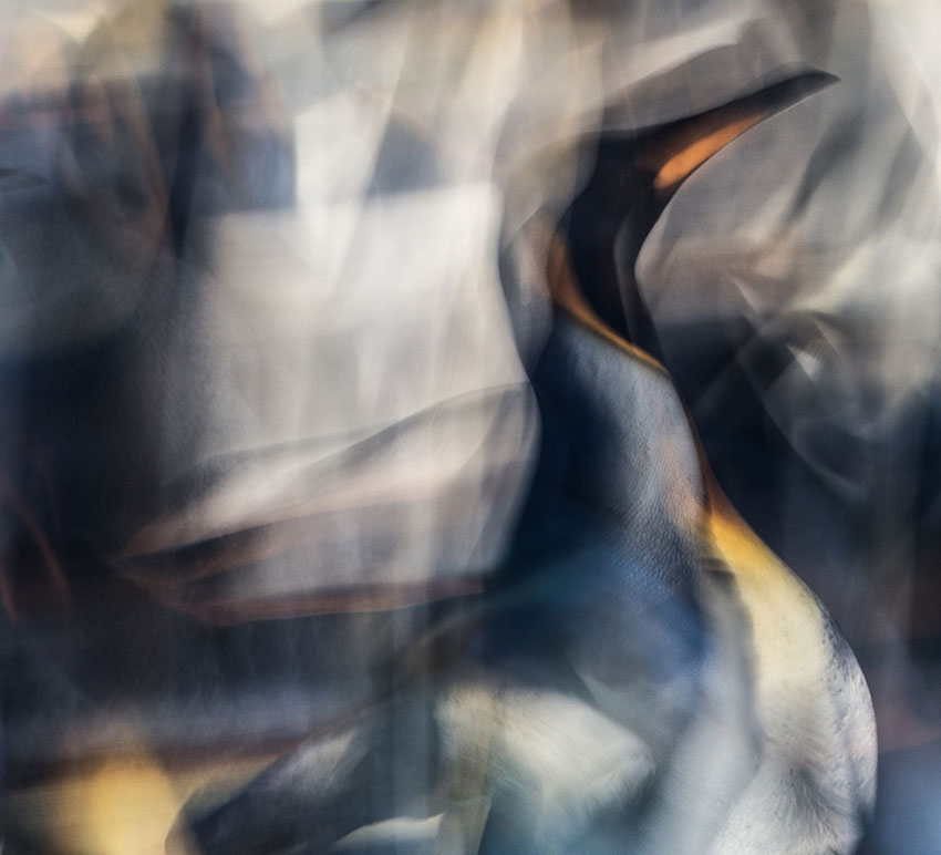Erik Malm Photography - specialized in Intentional Camera Movement ICM ...